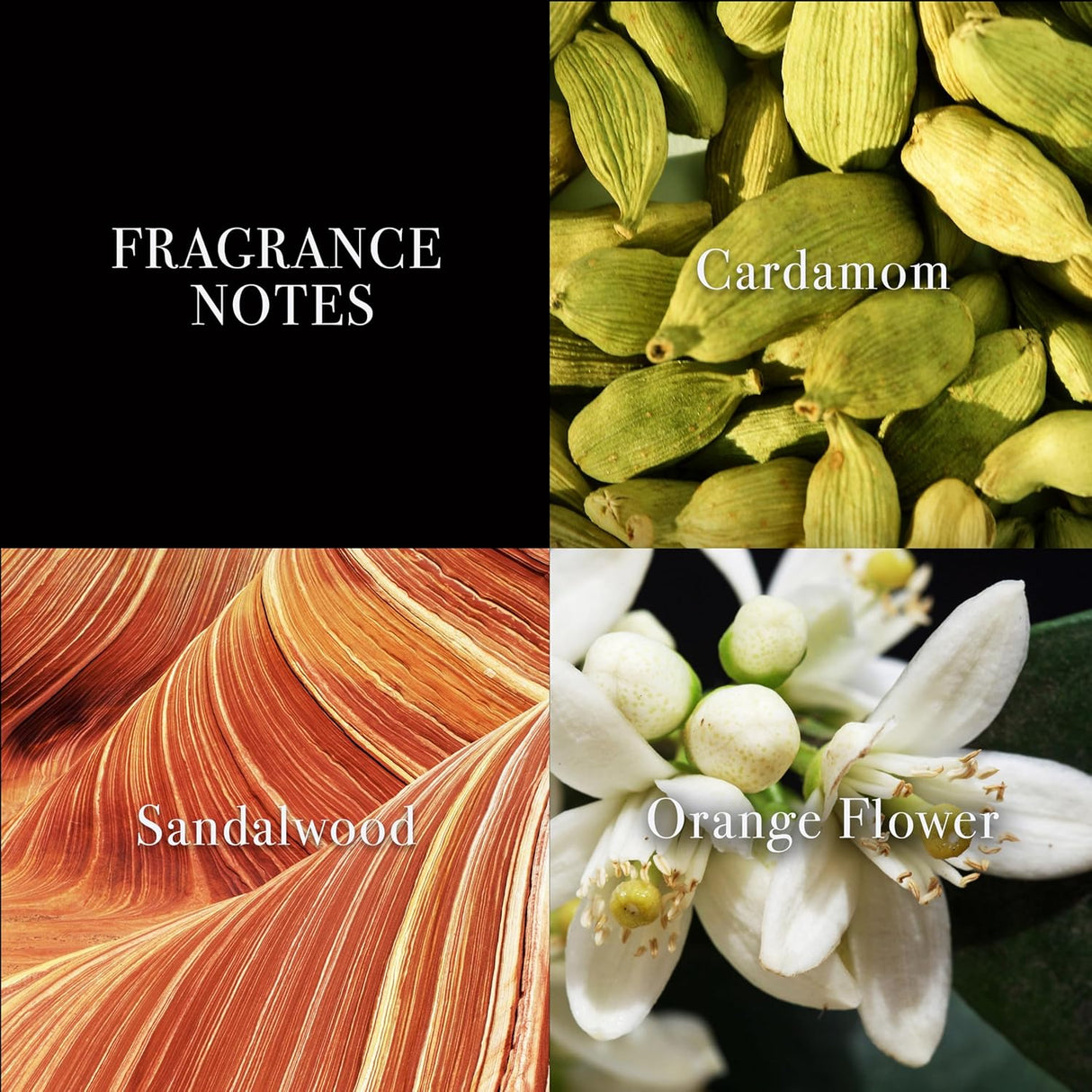 John Varvatos Men's Cologne, XX Eau De Toilette EDT Spray, Woody Oriental Scent with tes of Cardamom, Orange Flower & Sandalwood