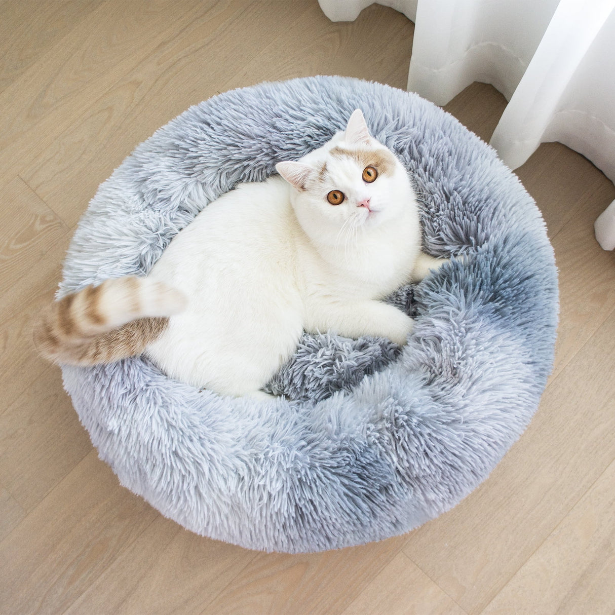 Calming Donut Pet Bed for Small Dogs 20", Anti-Anxiety Plush Cozy Warming Dog Bed, Gradient Grey