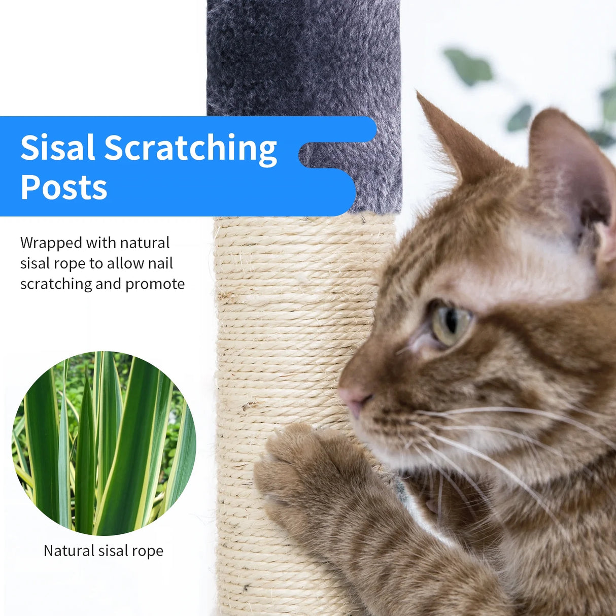 36 Inches Cat Tree for Indoor,Dark Gray.