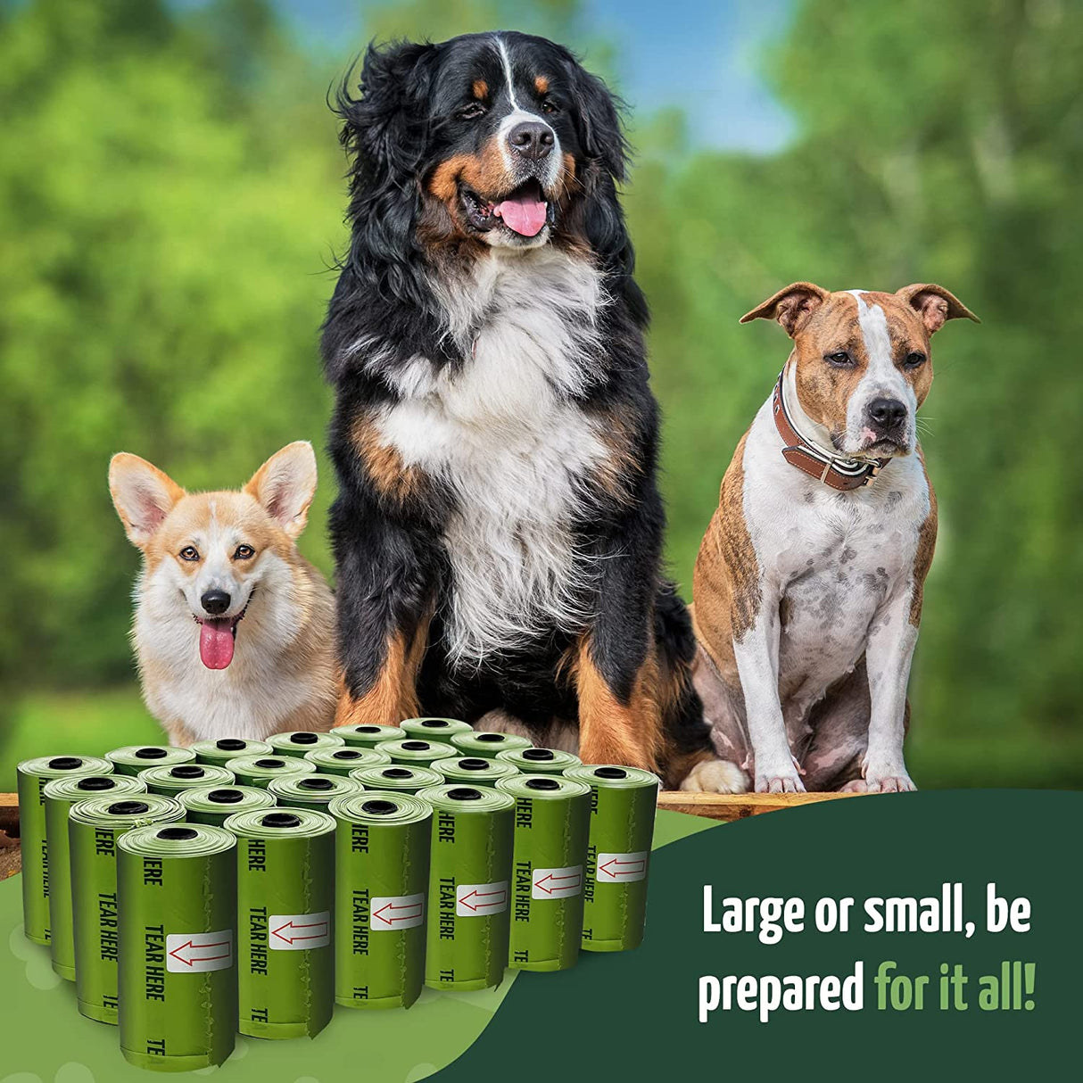 Biodegradable Dog Poop Bags with Holder, 1200 Bags, 9X13", Eco-Friendly