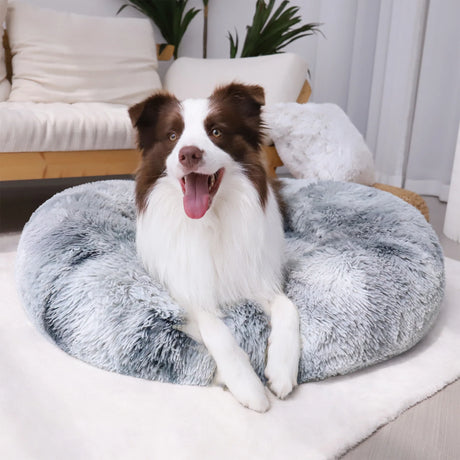Calming Donut Pet Bed for Small Dogs 20", Anti-Anxiety Plush Cozy Warming Dog Bed, Gradient Grey